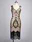 billige DameKjoler i plus størrelser-kvinders plus størrelse flapper kjoler 1920&#039;erne v-hals beaded frynsede store Gatsby kjole (guld&amp;amp; mørkegrøn, 5x-stor)