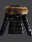 cheap Jackets-Women&#039;s Jacket Daily Fall &amp; Winter Regular Coat Hooded Regular Fit Basic Jacket Long Sleeve Solid Colored Black / Faux Fur