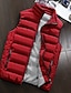 cheap All Sale-fanshonn men&#039;s autumn winter full zip lightweight water-resistant packable puffer vest