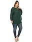 cheap Plus Size Sweaters-Women&#039;s Basic Hollow Out Knitted Solid Color Plain Pullover Acrylic Fibers Long Sleeve Plus Size Sweater Cardigans Crew Neck Fall Winter Green