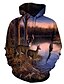 billige Hoodies-Herre Grafisk Dyr Pullover-hættetrøje Hætte 3D-udskrivning Daglig I-byen-tøj Basale Afslappet Hættetrøjer Sweatshirts Langærmet Regnbue