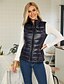 cheap Down&amp; Parkas-Women&#039;s Down Vest Solid Colored Patchwork Basic Fall Winter Stand Collar Regular Coat Sports &amp; Outdoor Sleeveless Jacket Blue / Going out