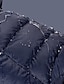 abordables Parkas y Plumas de Mujer-Mujer Chaleco abajo Un Color Retazos Básico Otoño Invierno Escote Chino Regular Abrigo Deporte Sin Mangas Chaquetas Azul Piscina / Noche