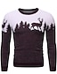 economico Christmas Sweaters-Per uomo Maglione Fantasia geometrica Animali Natale Manica lunga Maglioni cardigan Inverno Girocollo Nero Rosso Blu marino