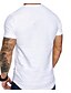 preiswerte T-Shirts-Herren T Shirt Rundhalsausschnitt Glatt Casual Kurzarm Bekleidung Einfach Sportbekleidung Brautkleider schlicht Muskel