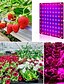 abordables Lampe de croissance LED-1 pc 81leds 169 leds intérieur LED élèvent des plantes légères lampe de croissance rouge bleu spectre complet pour plante hydroponique intérieure