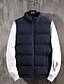 cheap All Sale-Men&#039;s Dailywear Polyester Quilted Puffer Vest