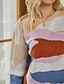 abordables Sweaters &amp; Cardigans-Femme Chandail Géométrique Tricoté basique Manches Longues Pull Cardigans Automne Hiver Col Ras du Cou Col Rond Arc-en-ciel