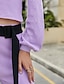 abordables Bottoms-Femme basique Classique Chino Toute la longueur Pantalon Micro-élastique Coton Couleur Pleine Taille médiale Confort Ample Violet S M L XL