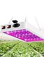 cheap Plant Growing Lights-1pc Artoo Double Switch LED Grow Light for Indoor Plants 216 leds 312 leds Full Spectrum for Indoor Greenhouse Grow Tent Phyto Lamp for Plants