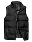 cheap All Sale-Men&#039;s Dailywear Polyester Quilted Puffer Vest
