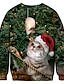 preiswerte Weihnachts Hoodies-Herren Pullover Sweatshirt Katze Grafik hässlich Rundhalsausschnitt Party täglich 3D-Druck Party Hoodies Sweatshirts Langarm grün