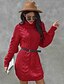 abordables Robes Pulls-Femme Tricoté Couleur unie Arrêtez-vous Manches Longues Pull Cardigans Col Roulé Automne Noir Rouge Beige