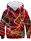 billige Hættetrøjer og sweatshirts til drenge-Børn Drenge Hættetrøje og sweatshirt Langærmet Grafisk 3D Trykt mønster Regnbue Børn Toppe Aktiv Nytår