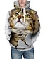 preiswerte Hoodies-Herren Katze Grafik 3D Pullover Hoodie Sweatshirt Vordertasche 3D-Druck Täglich 3D-Druck Kapuzenpullover Sweatshirts Gelb
