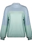 billige Sweaters-Dame bluse Helfarve Strikket Langærmet Løstsiddende Sweater Cardigans Efterår Vinter Rullekrave Grøn