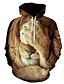 economico Hoodies-Per uomo Pop art Leone Felpa con cappuccio pullover Stampa 3D Giornaliero Fine settimana Informale Felpe con cappuccio Felpe 1# 2# Arcobaleno