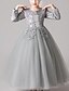 preiswerte Kleider für Mädchen-kinderkleidung Mädchen Kleid Blumen Langarm Gitter Kuschelig Polyester Maxi Rosa Prinzessinnenkleid Beige Weiß Rosa