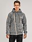 abordables Hoodies-Homme Sweat zippé Couleur unie Capuche Casual du quotidien Vêtement de rue non imprimable basique Frais Vêtement Tenue Pulls Capuche Pulls molletonnés Mince Manches Longues Gris Clair Gris Foncé