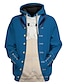 cheap Hoodies-Men&#039;s 3D Alexander Cosplay Hoodie Sweatshirt