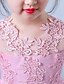 cheap Girls&#039; Dresses-Kids Little Girls&#039; Dress Floral Mesh Blushing Pink White Above Knee Sleeveless Active Cute Dresses Children&#039;s Day Regular Fit