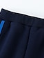 abordables Pantalones para Niño-Niños Chico Pantalones Año Nuevo Azul Marino Gráfico Ropa de calle