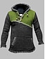 cheap Sweaters-Men&#039;s Knitted Color Block Pullover Long Sleeve Plus Size Sweater Cardigans Hooded Fall Winter Green