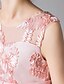 cheap Girls&#039; Dresses-Kids Little Girls&#039; Dress Floral Mesh Bow Blue Blushing Pink Red Midi Sleeveless Active Cute Dresses Children&#039;s Day Regular Fit