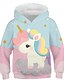 cheap Girls&#039; Tees &amp; Blouses-Girls&#039; 3D Graphic Color Block 3D Hoodie &amp; Sweatshirt Long Sleeve 3D Print Active Basic Polyester Kids