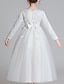 preiswerte Kleider für Mädchen-kinderkleidung Mädchen Kleid Blumen Langarm Gitter Aktiv Kuschelig Polyester Maxi Rosa Prinzessinnenkleid Weiß