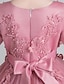 preiswerte Kleider für Mädchen-kinderkleidung Mädchen Kleid Blumen Langarm Gitter Aktiv Kuschelig Polyester Maxi Rosa Prinzessinnenkleid Weiß