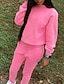 preiswerte Two Piece Sets-Damen Grundlegend Volltonfarbe Glatt Zweiteiliges Set Kapuzenshirt Hose Patchwork Oberteile