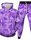 cheap Hoodies-Men&#039;s Graphic 3D 3D Hoodies Set 2 Piece 3D Print Daily Casual Hoodies Sweatshirts  Blue Purple Yellow