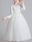 cheap Girls&#039; Dresses-Kids Girls&#039; Dress Floral Long Sleeve Mesh Active Cute Polyester Maxi Pink Princess Dress White