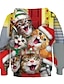 cheap Boys&#039; Tees &amp; Blouses-Kids Boys&#039; Hoodie &amp; Sweatshirt Long Sleeve Rainbow Cat Print Cat Animal Active