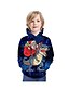 cheap Boys&#039; Hoodies &amp; Sweatshirts-Kids Boys&#039; Hoodie &amp; Sweatshirt Long Sleeve Dinosaur Santa Claus Graphic 3D Christmas Print Blue Children Tops Active Christmas