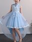 cheap Girls&#039; Dresses-Chinoiserie Floral Dress for Little Girls