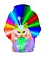billige T-skjorter og bluser til jenter-Barn Jente Hettegenser og sweatshirt Langermet Regnbue Katt Trykt mønster Katt Grafisk 3D Dyr Aktiv