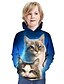 billige T-skjorter og skjorter til gutter-Barn Gutt Hettegenser og sweatshirt Langermet Blå Katt Trykt mønster Katt Grafisk 3D Dyr Aktiv