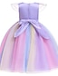 cheap Girls&#039; Dresses-Kids Little Dress Girls&#039; Rainbow Patchwork Colorful Unicorn Party Holiday Tulle Dress Cartoon Purple Pink Yellow Knee-length Tulle Short Sleeve Active Princess Sweet Dresses Spring Summer 2-9 Years