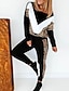 cheap Two Piece Sets-Women&#039;s Sweatsuit 2 Piece Set Color Block Leopard Print Crew Neck Leopard Sport Athleisure Clothing Suit Long Sleeve Comfortable Everyday Use Causal Casual Daily / Winter