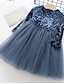 cheap Girls&#039; Dresses-Kids Little Dress Girls&#039; Patchwork Solid Colored Lace Blue Above Knee Velvet Long Sleeve Basic Cute Dresses Regular Fit