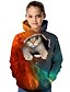 cheap Girls&#039; Hoodies &amp; Sweatshirts-Kids Girls&#039; Hoodie &amp; Sweatshirt Long Sleeve Khaki Cat 3D Print Cat Animal Print School Active 4-12 Years