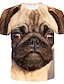 billige Tank Tops-Herre T-shirt Skjorte Dyr 3D-udskrivning Rund hals Afslappet Daglig Kortærmet 3D-udskrivning Trykt mønster Toppe Afslappet Mode Lysebrun