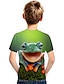 baratos Camisetas Para Meninos-Infantil Para Meninos Camisa Camiseta Manga Curta Arco-íris Impressão 3D Gráfico Animal Ativo 3-12 anos / Verão
