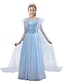 cheap Girls&#039; Dresses-Kids Little Girls&#039; Dress Solid Colored Snowflake Flower Tulle Dress Birthday Party Sequins Patchwork Full Length Blue Maxi Short Sleeve Elegant Cosplay Costumes Dresses Regular Fit