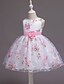 cheap Girls&#039; Dresses-Little Girls&#039; Blushing Pink Floral Tulle Dress