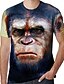 billige Tank Tops-Herre T-skjorter T skjorte 3D-utskrift Grafisk Orangutang Store størrelser Trykt mønster Kortermet Daglig Topper Land Gatemote Bekvem Stor og høy Svart Blå Rød
