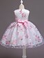 cheap Girls&#039; Dresses-Little Girls&#039; Blushing Pink Floral Tulle Dress