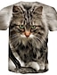 billige Tank Tops-Herre T-shirt Skjorte T-Shirts Grafisk Dyr Kat 3D Rund hals Blå Kakifarvet Grå 3D-udskrivning Fest Indendørs Kortærmet Trykt mønster Tøj Chic og moderne